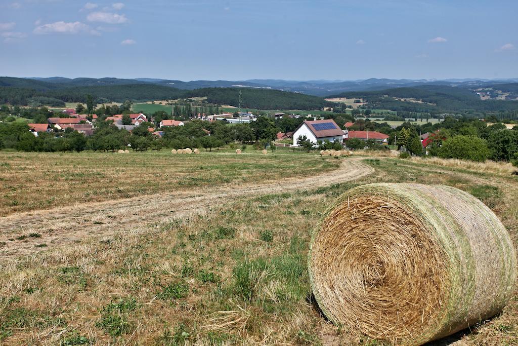 Pension Jezerna Zduchovice Exterior photo